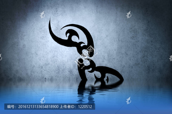 藍(lán)色背景上美麗的部落黑人；對T的反思