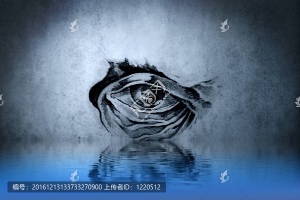 紋身動(dòng)物眼睛在藍(lán)色墻壁與水反射