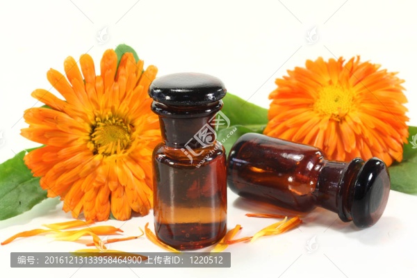 金盞花酊