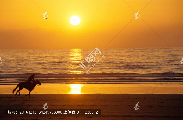 海灘上日落時(shí)的奔馬和騎手