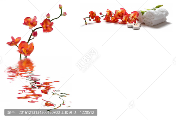 SPA的拼貼