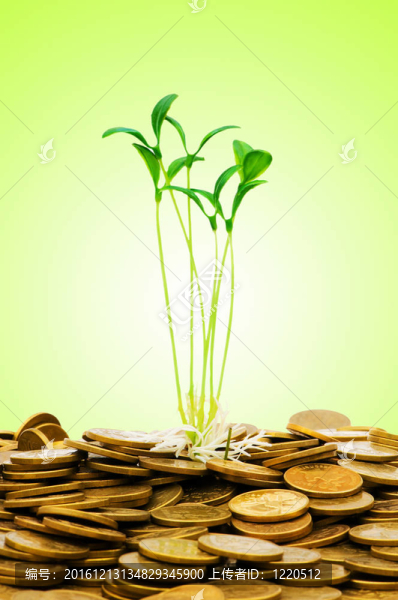 貨幣增長的概念與硬幣和幼苗