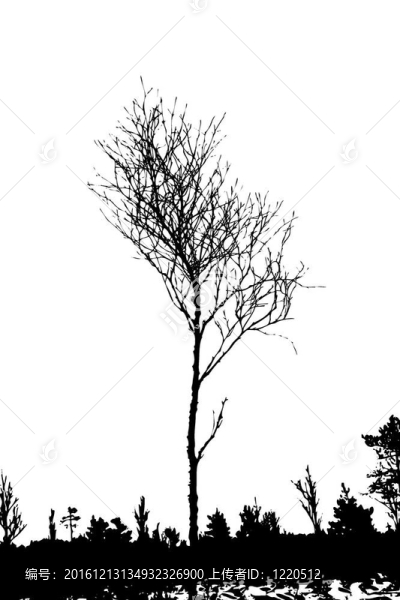 白色背景樹(shù)剪影；插圖