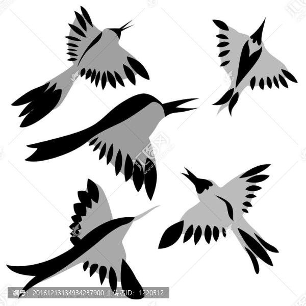 裝飾畫鳥在白色背景軟硬件平臺及動(dòng)態(tài)網(wǎng)絡(luò)體系；