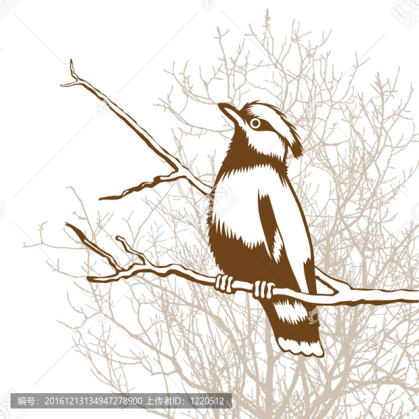 木背景鳥類剪影；圖