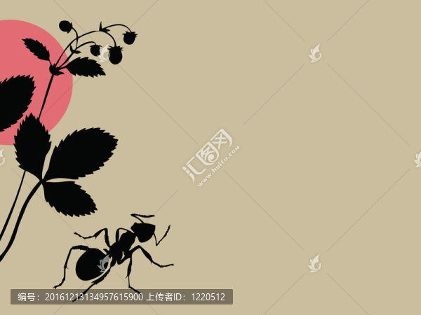 褐色背景黑螞蟻；圖