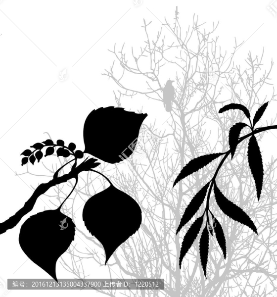 白色背景植物剪影插圖