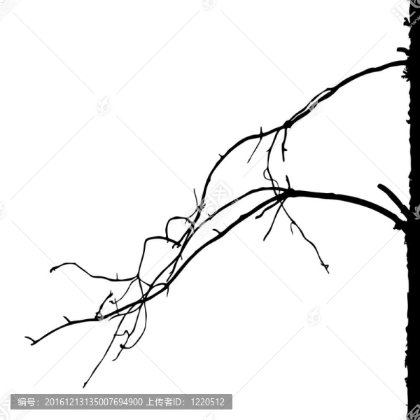 白色背景樹剪影；插圖