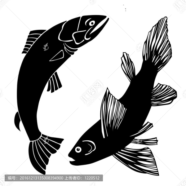 白底魚集；圖