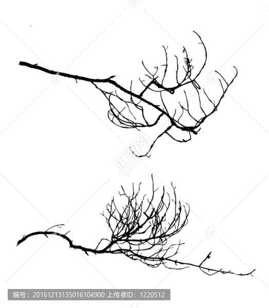 白色背景樹剪影；插圖