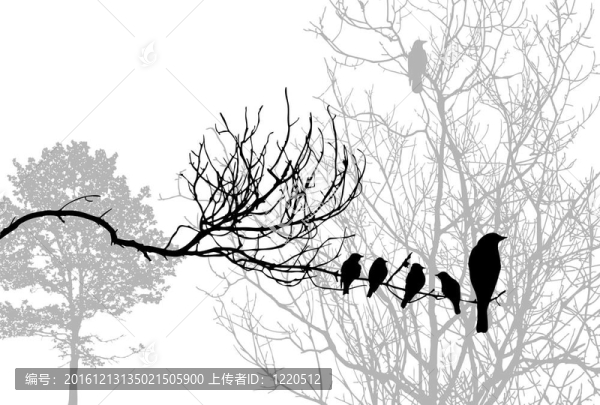 樹枝上的鳥剪影；插圖