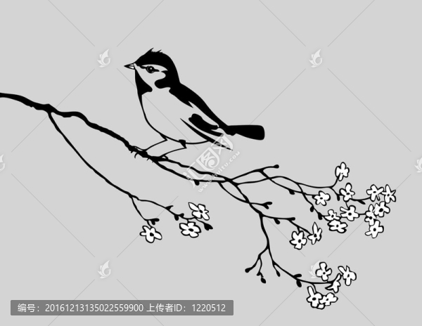 灰色背景鳥類剪影；插圖