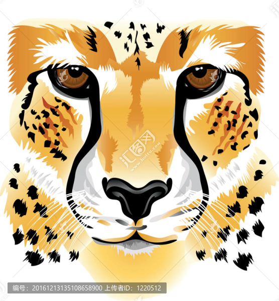 獵豹的臉