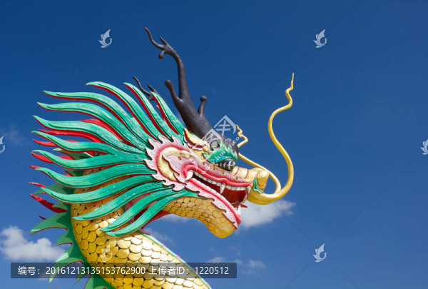 美麗的金龍與藍天