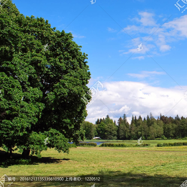 夏天的風(fēng)景
