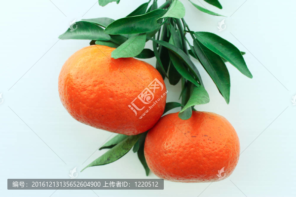 橙枝橘紅色