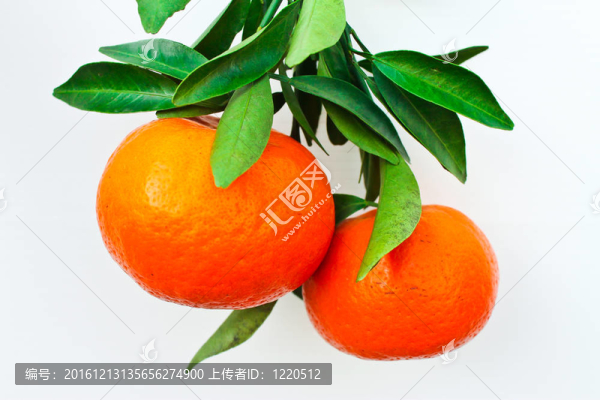 橙枝橘紅色