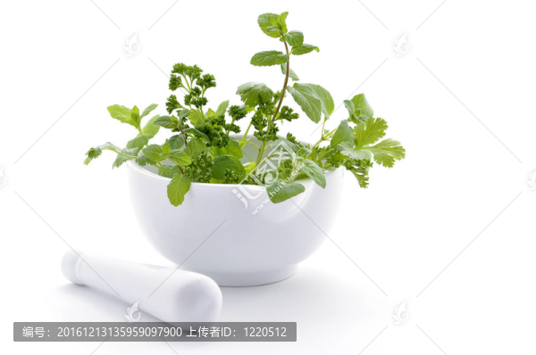 新鮮的香草