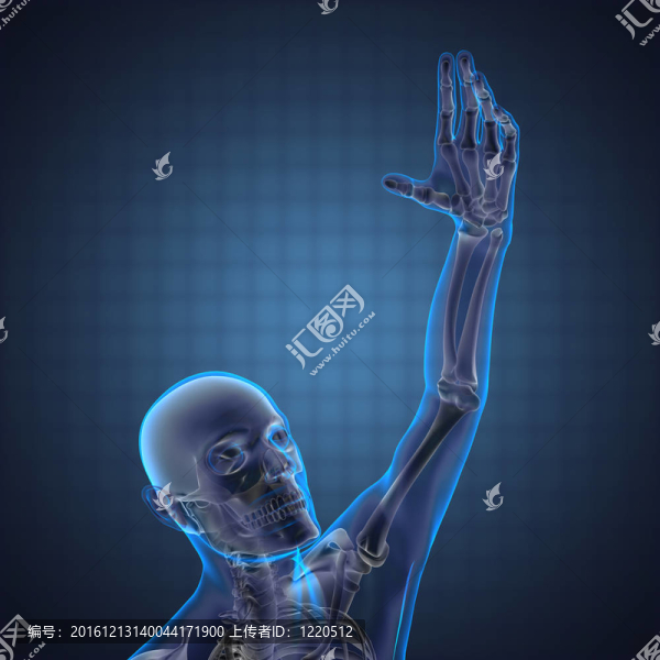 人體攝影掃描