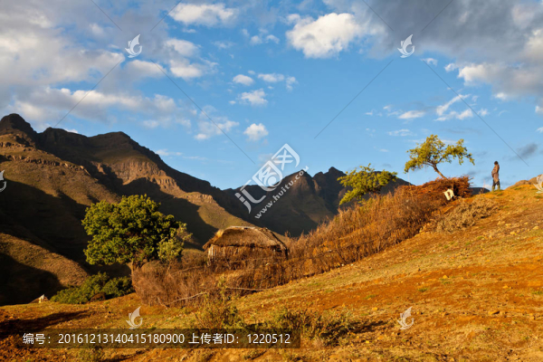 在美麗的燈光山區(qū)農(nóng)場(chǎng)