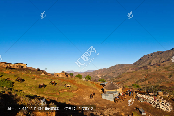 美麗的原始農(nóng)場(chǎng)