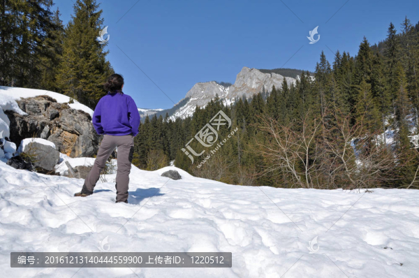 在喀爾巴阡山脈的雪山；Transylvania；羅馬尼亞