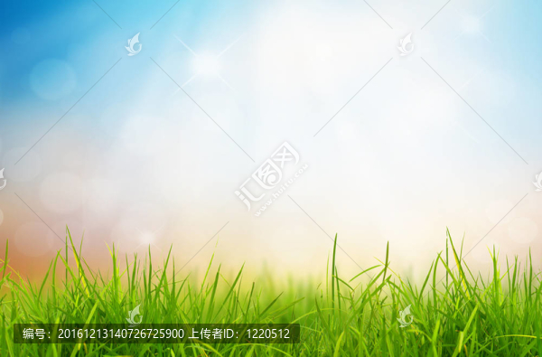 春天的自然背景與草和藍(lán)天在后面