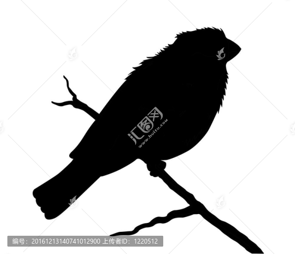 白色背景上的鳥(niǎo)剪影
