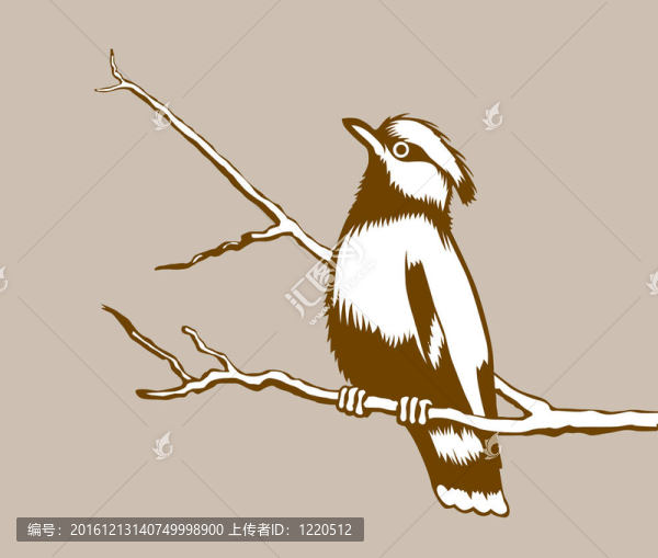 棕色背景上的鳥剪影