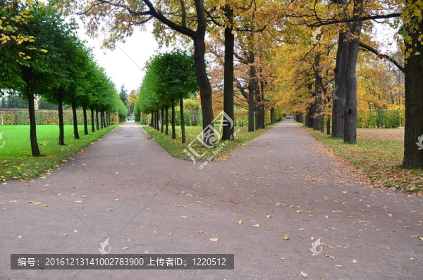 路徑