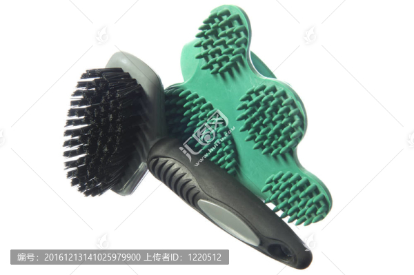 美容用品的狗