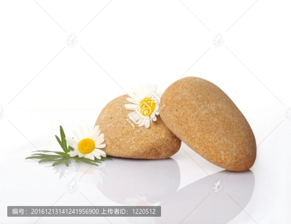 一套花在石頭上