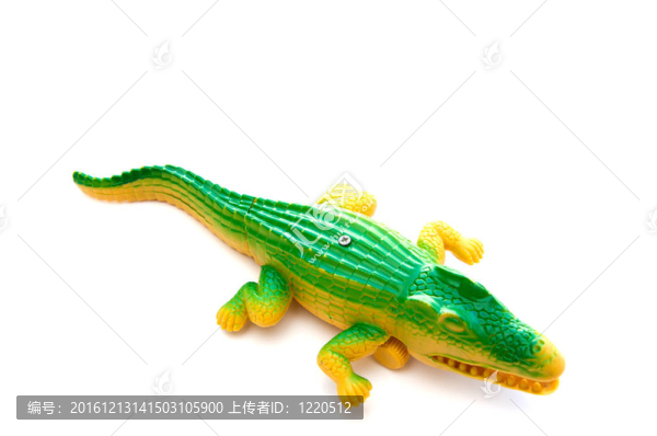 鱷魚