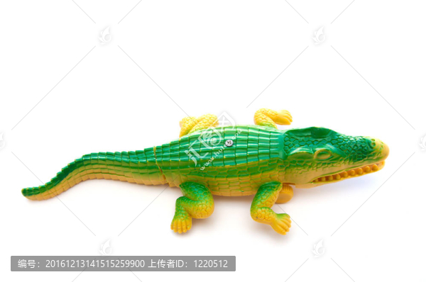 鱷魚