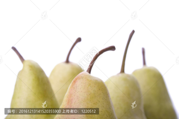 梨.