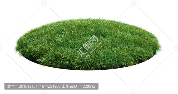 草上