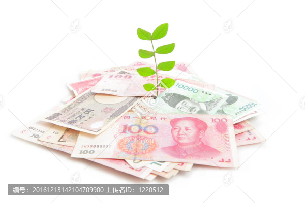 綠色植物葉子在金錢上生長