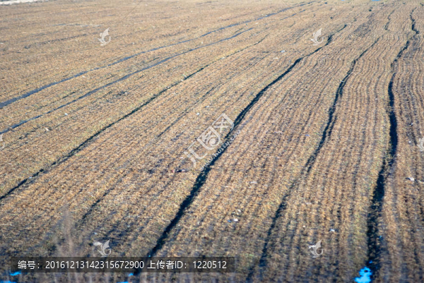 農(nóng)業(yè)領(lǐng)域