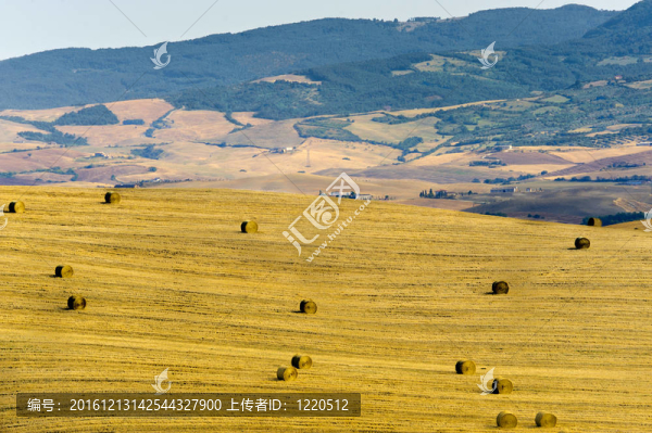 Val,d,Orcia（托斯卡納）景觀