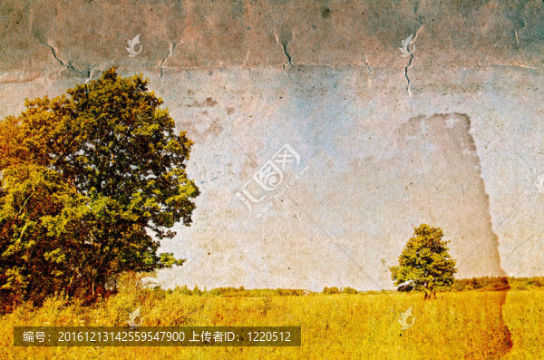 對(duì)垃圾背景兩橡樹