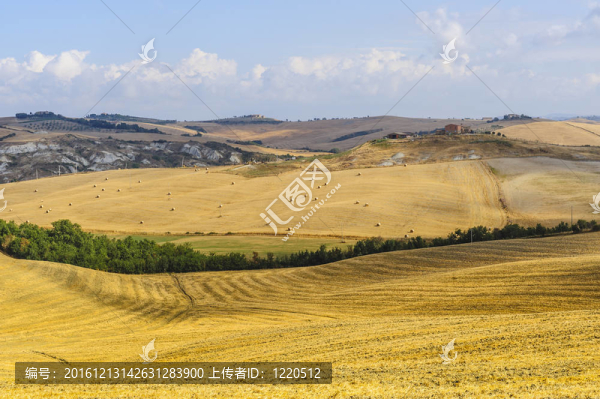 Val,d,Orcia（托斯卡納）景觀