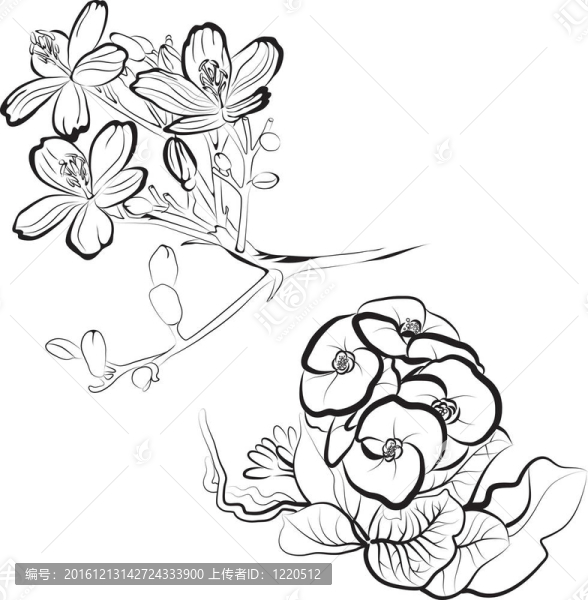 花藝設(shè)計(jì)元素