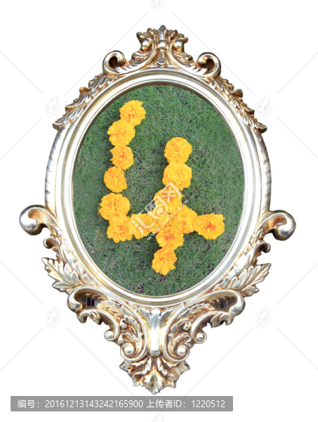 綠色背景下的花數(shù)