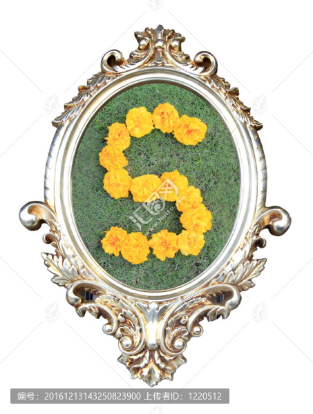 綠色背景下的花數(shù)