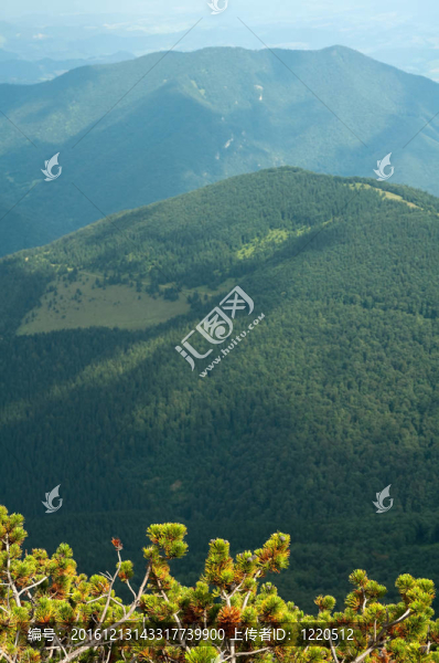 自然景物的細(xì)節(jié)