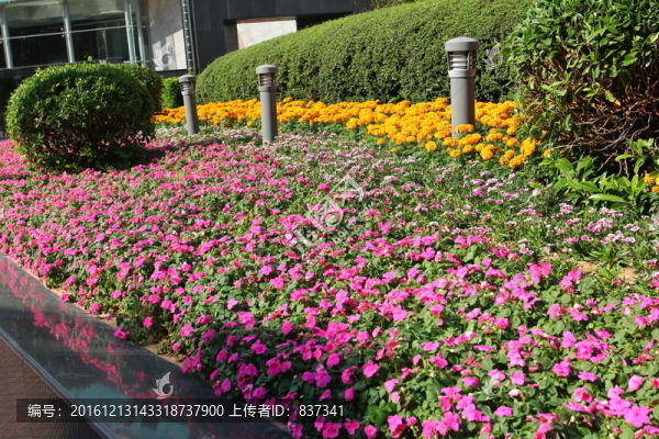 城市綠化