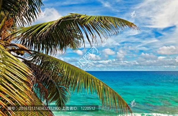 海景觀