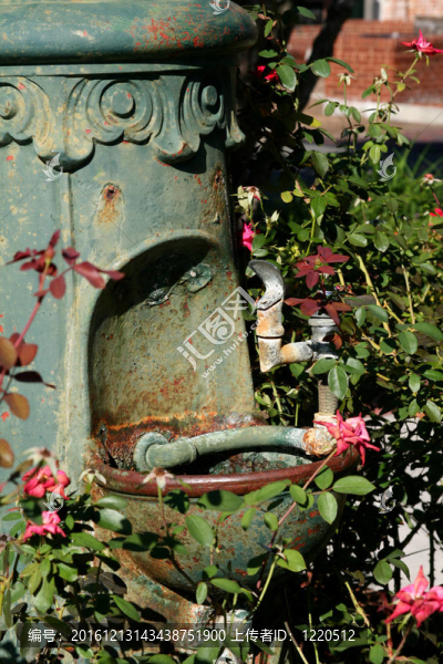 植物覆蓋飲水機(jī)
