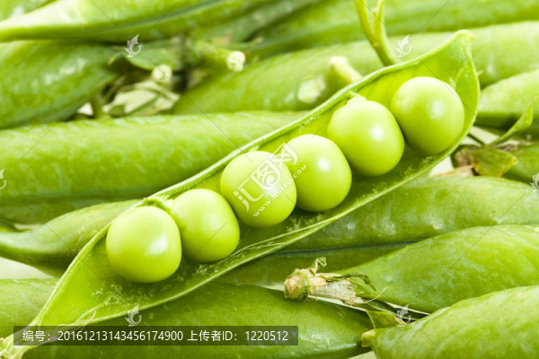 綠色的豌豆