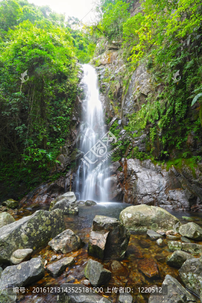 級聯(lián)的森林